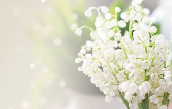 Picture macro, glare, blur, white, lilies of the valley, bokeh