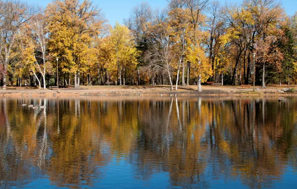 Picture autumn, trees, lake, pond, Park