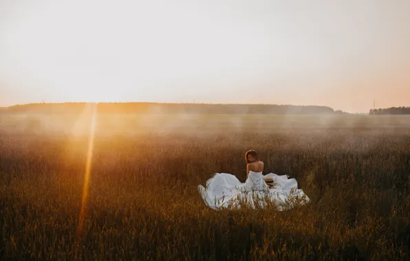 FOREST, GRASS, HORIZON, FIELD, GREENS, HAT, MOOD, RAYS