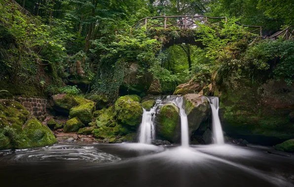 Forest, bridge, river, stones, waterfall, moss, Luxembourg, Luxembourg