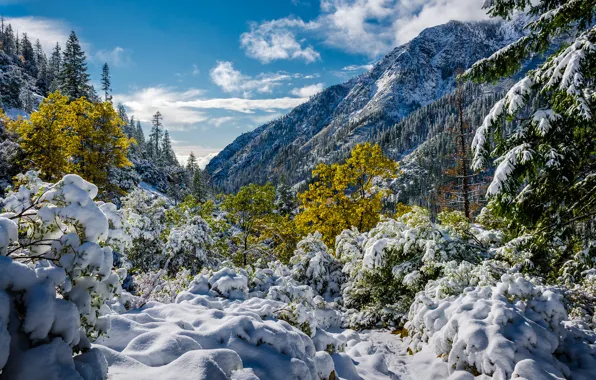 Picture snow, mountains, CA, California, AIMA, Alps Trinity, Trinity Alps