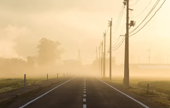 Picture road, fog, morning, power lines