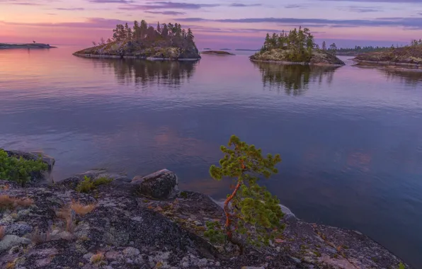 Islands, trees, landscape, nature, dawn, morning, Lake Ladoga, Karelia