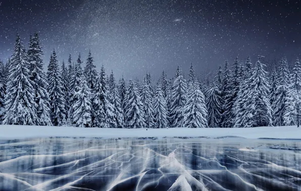Winter, forest, stars, snow, night, cracked, lake, shore