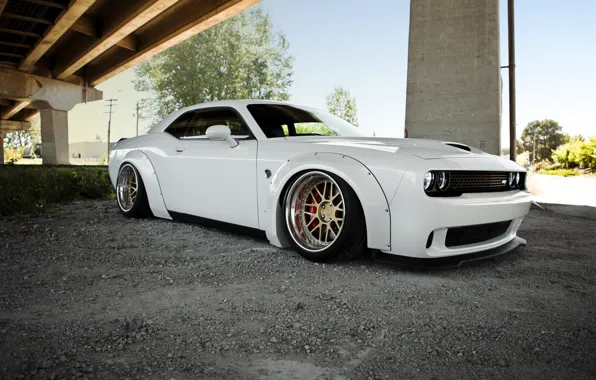 Dodge, Challenger, Dodge, Hellcat, Challenger, SRT, 2014