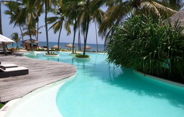 Picture palm trees, the ocean, pool, resort, exotic