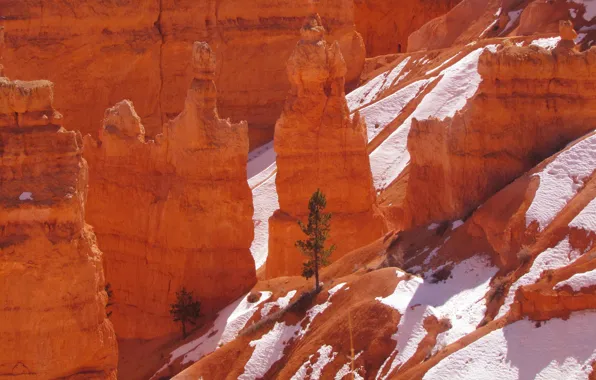 Snow, mountains, tree, rocks, Utah, USA, Bryce Canyon National Park