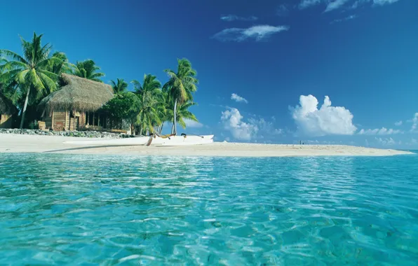 Beach, water, transparency, palm trees, the ocean, houses, Tahiti, Pearl beach