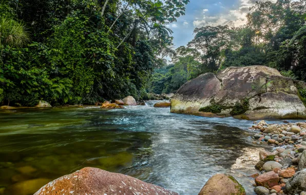 Picture the sky, trees, mountains, river, stones, rocks, stream