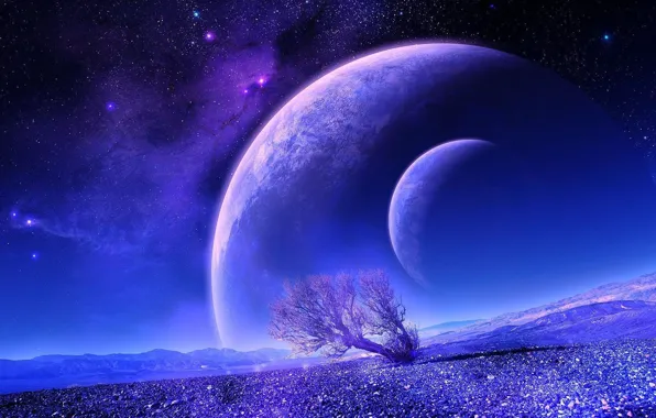 TREE, HORIZON, The SKY, PLANET, STARS, DAL, SPACE