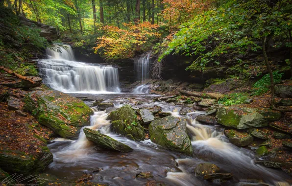 Autumn, forest, leaves, trees, river, stones, waterfall, PA