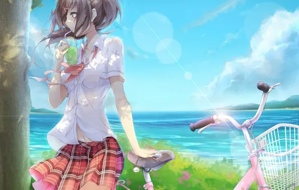 The sky, water, girl, clouds, nature, bike, glass, anime