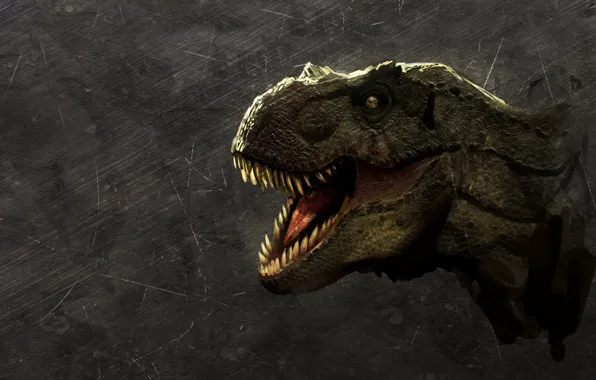 Picture dinosaur, predator, teeth, mouth