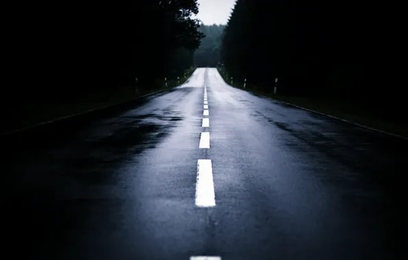 Picture road, forest, fog, the evening
