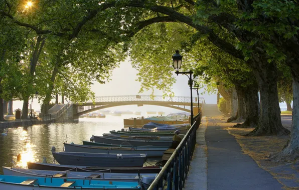 Trees, bridge, France, boats, Channel, Alley