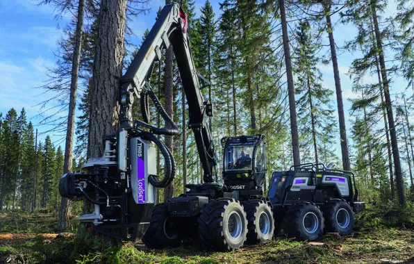 Forest, the sky, trees, tree, cabin, wheel, logging, forestry equipment