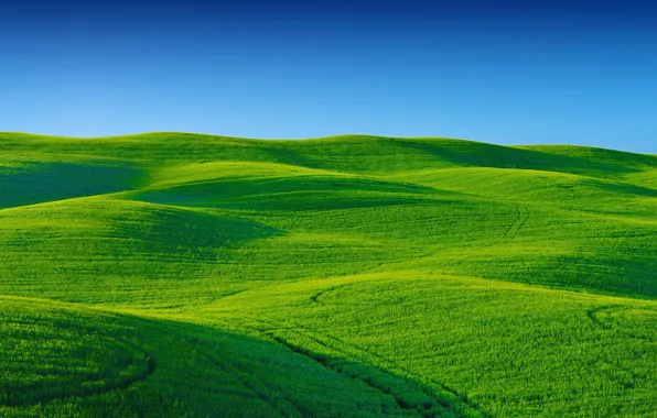 The sky, grass, field, hill