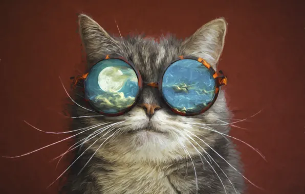 Picture cat, space, the moon, glasses