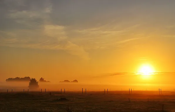 Field, the sun, fog, the fence, morning, field, morning, sun