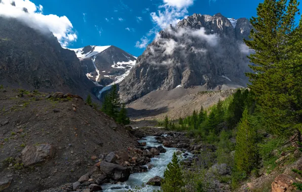 The sky, clouds, snow, trees, mountains, nature, rocks, river