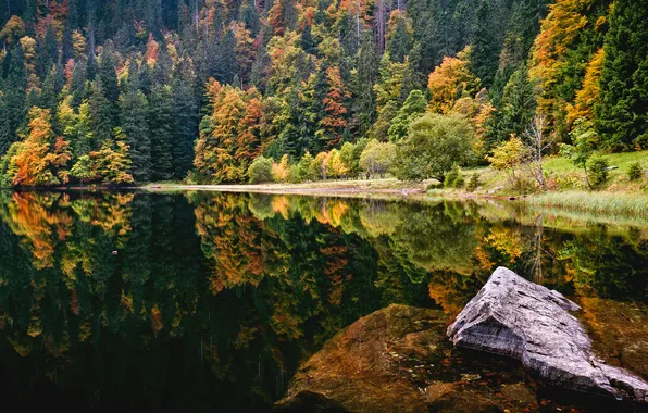 Picture water, germany, black forest
