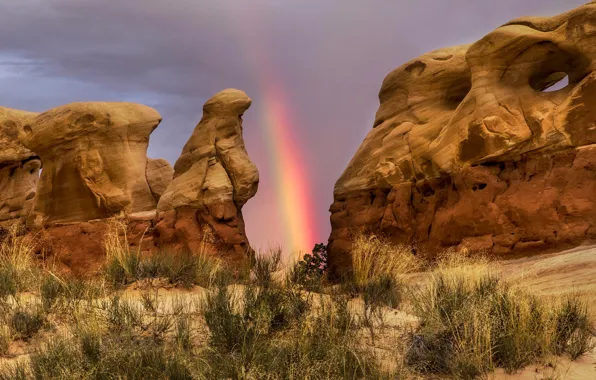 Rocks, rainbow, Utah, USA, Grand Staircase-Escalante, state reserve