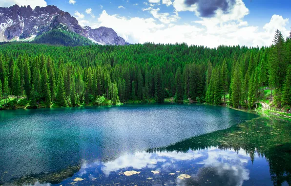 Picture forest, trees, landscape, mountains, Italy, lake Carezza