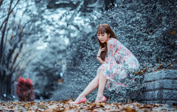 Picture autumn, leaves, Park, dress, legs, Asian, bokeh