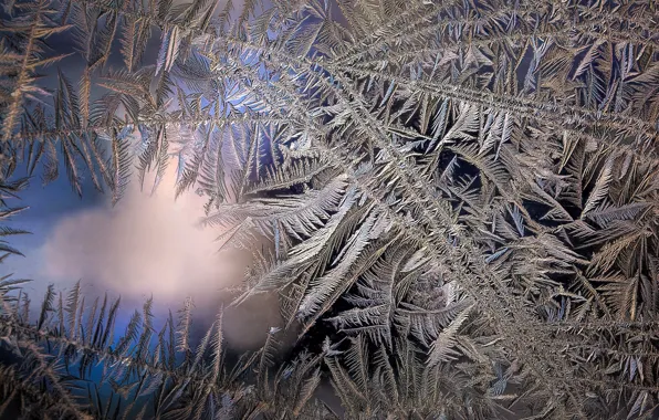 Frost, glass, macro, pattern, frost