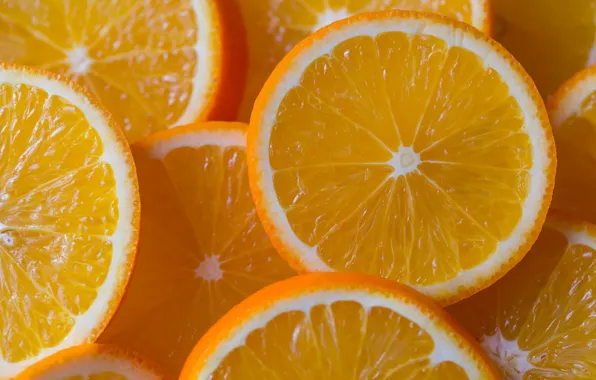 Orange, fruit, circles, slices, cutting, citrus