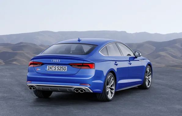 Audi, German, Blue, 2018, A5, S5