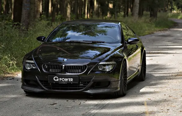 Picture road, forest, black, BMW, G-Power