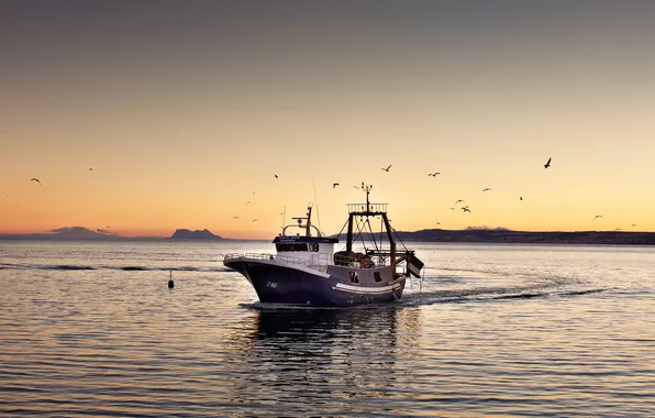 Landscape, lake, boat