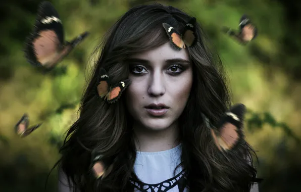 Look, girl, face, mood, butterfly, hair