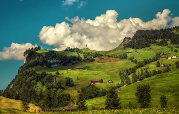 Picture trees, mountains, home, Switzerland