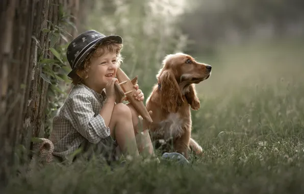 Grass, toy, dog, boy, hat
