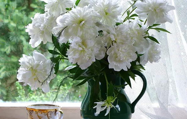 Flower, nature, flowers, bouquet, peonies