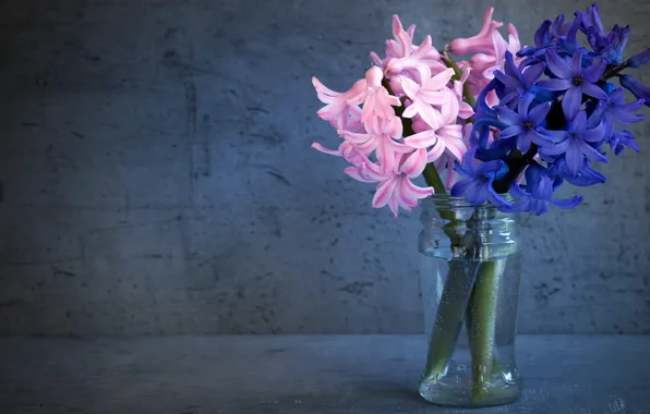 Glass, flowers, background, bouquet, Bank, pink, still life, blue