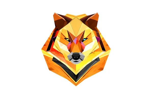 Animals, abstraction, graphics, color, wolf