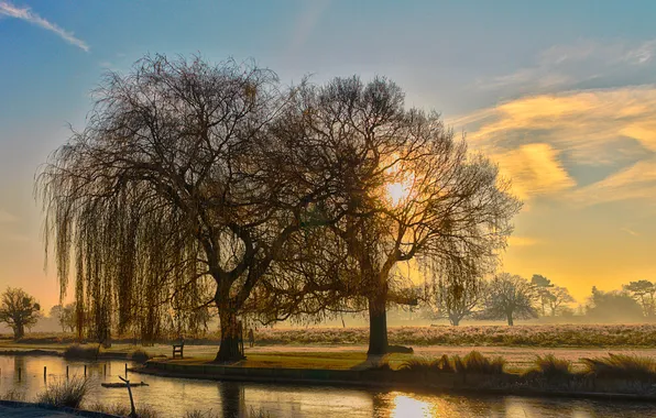 The sky, clouds, trees, sunset, fog, pond, Park, bench