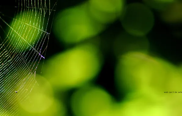 Picture greens, light, glare, web