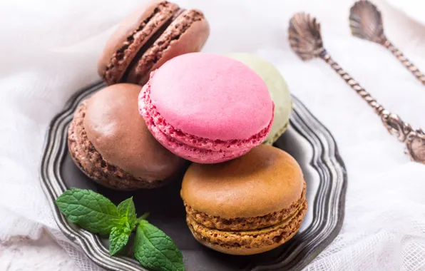 Cookies, color, dish, cuts, macaron, almond, Iryna Melnyk