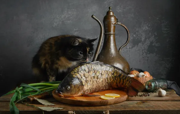 Picture cat, cat, fish, carp