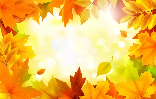 Autumn, leaves, background, colorful, maple, background, autumn, leaves