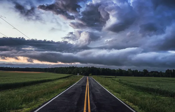 Picture road, field, the sky