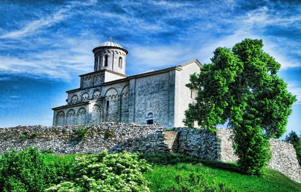 Tree, Church, WIDESCREEN, SERBIA, CHURCH