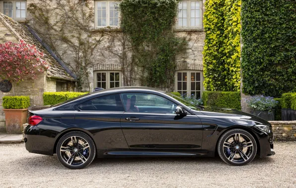 Black, BMW, M4