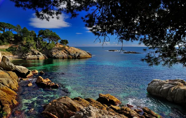 Picture branches, stones, coast, Spain, Spain, Catalonia, The Mediterranean sea, Costa Brava