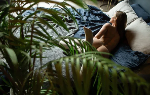 Ass, leaves, back, stockings, pillow, brown hair, legs, rastenie