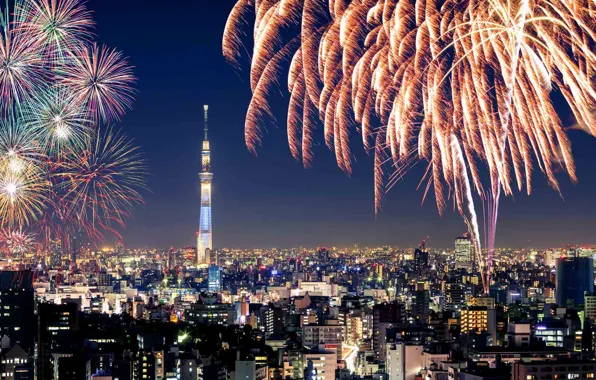 Night, lights, salute, Japan, Tokyo, the Sumida river, fireworks festival